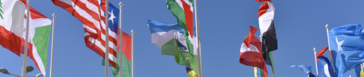 Flags flying in the wind representing international locations 