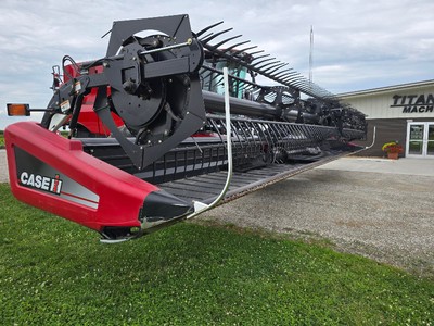 2010 CASE IH 2162 DRAPER HEAD