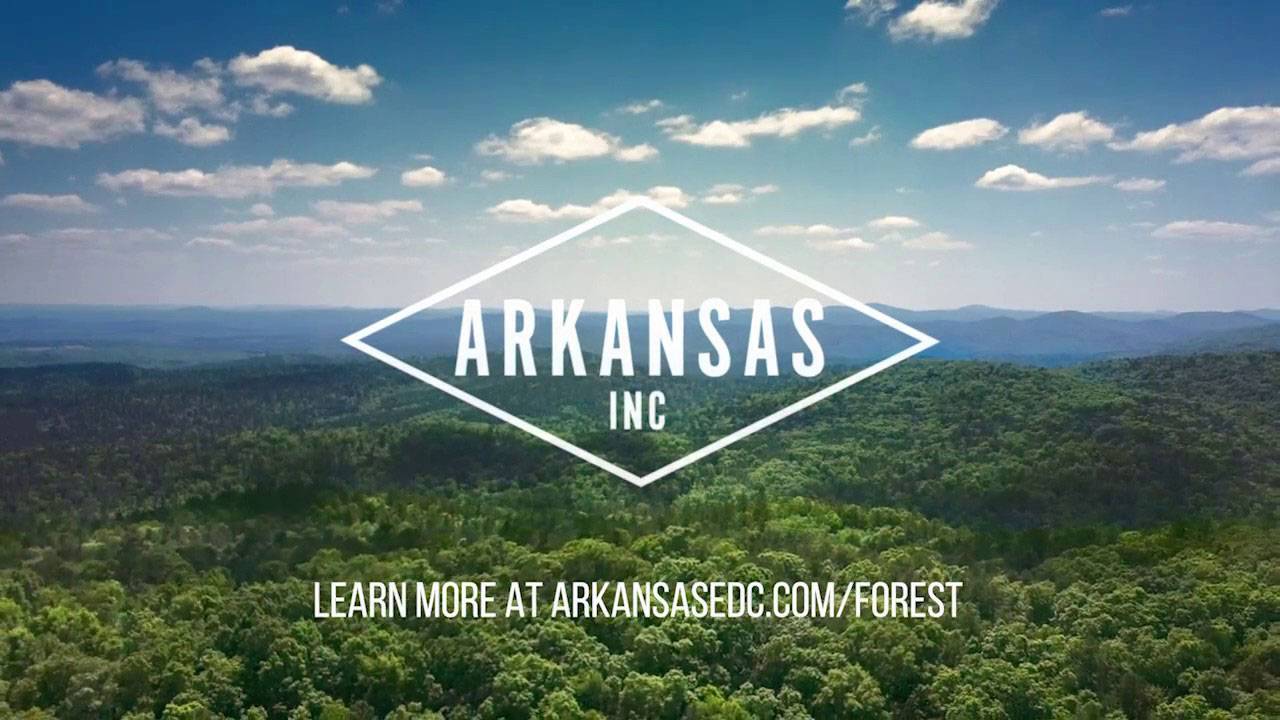 Arkansas Inc Forests