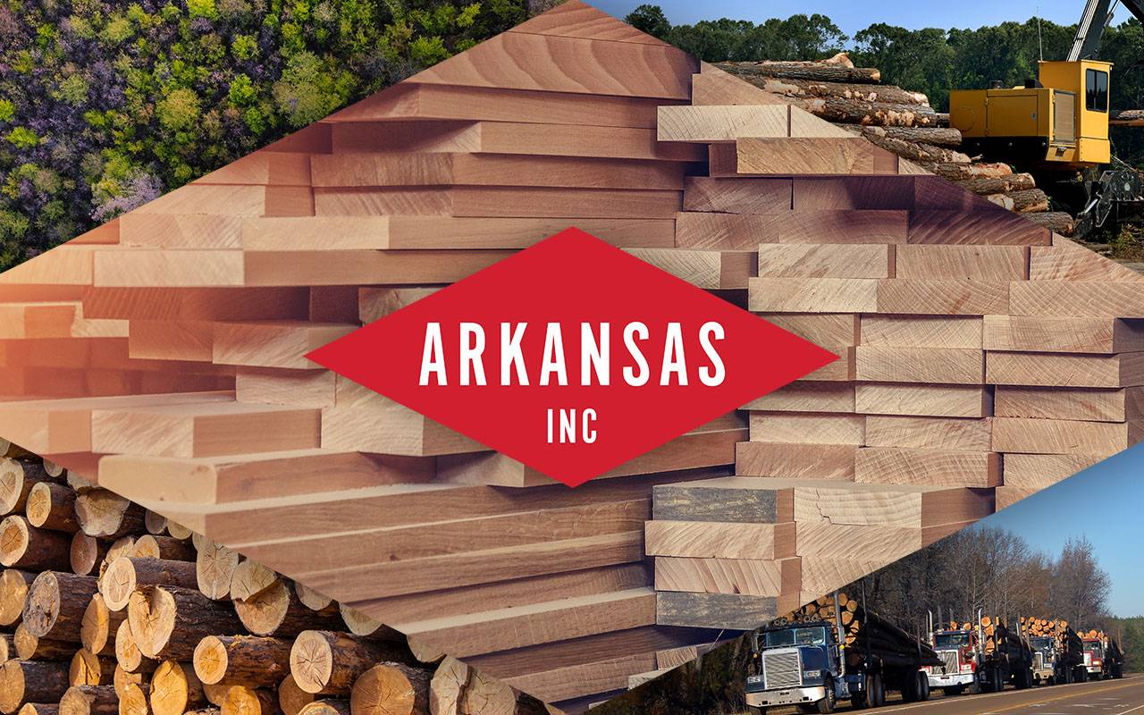 New Report Highlights Strength of Arkansas' Forestry Industry