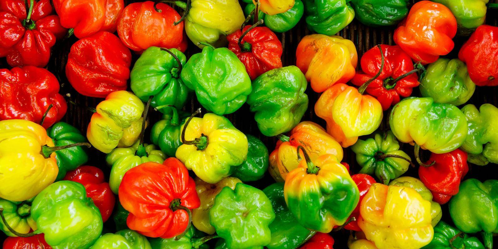 A picture of red, green and yellow bell peppers.