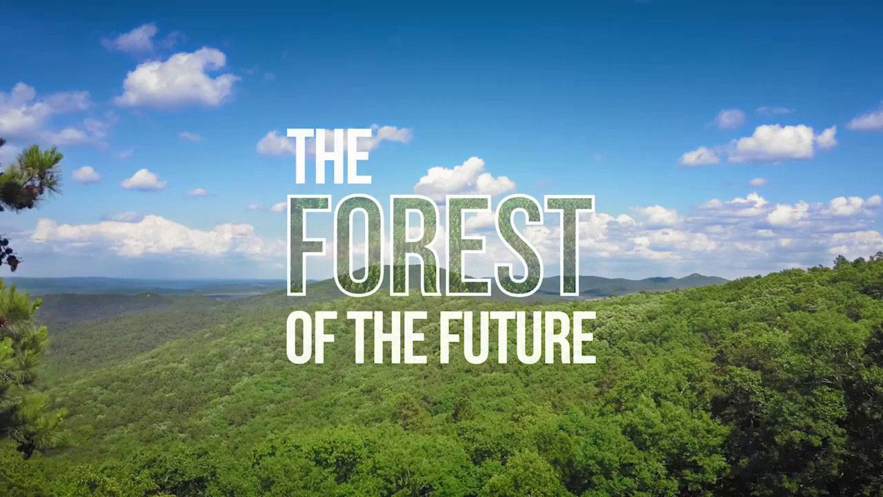 The Forest of the Future