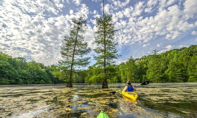 Missisissippi River State Park