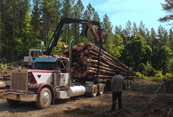 Timber Truck