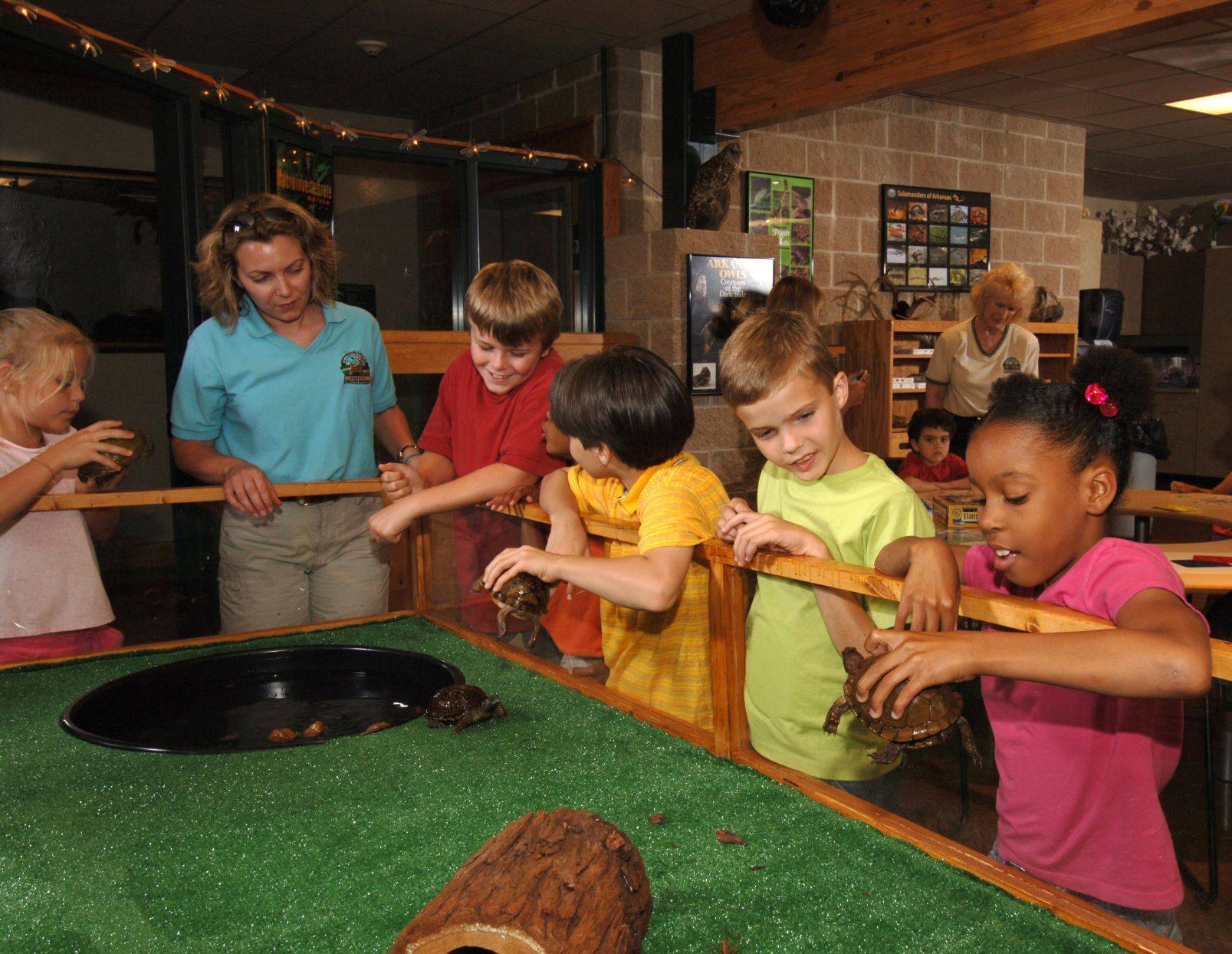 Students interact with turtles at nature center